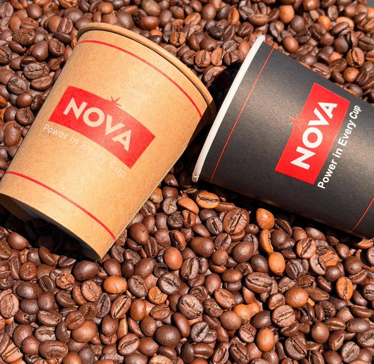 NOVA branded coffee cups on roasted beans
